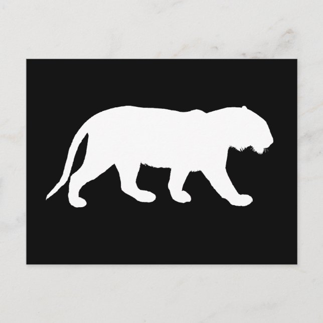 Weißer Tiger Postkarte (Vorderseite)