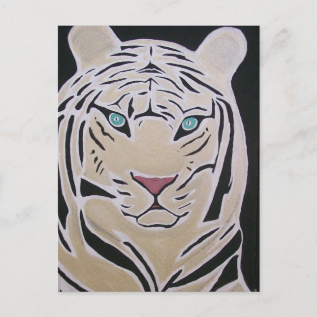 WEIßER TIGER POSTKARTE 2 (Vorderseite)