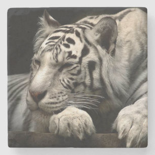 Weißer Tiger Steinuntersetzer