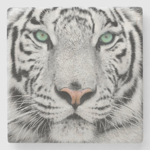 Weißer Tiger Steinuntersetzer
