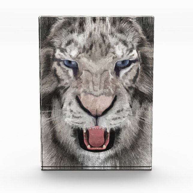 Weißer Tigerkopf Wildlife Ästhetik Fotoblock (Vorderseite)