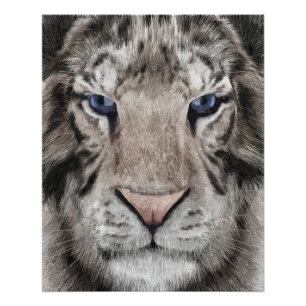 Weißer Tigerkopf Wildtier Ästhetik Poster