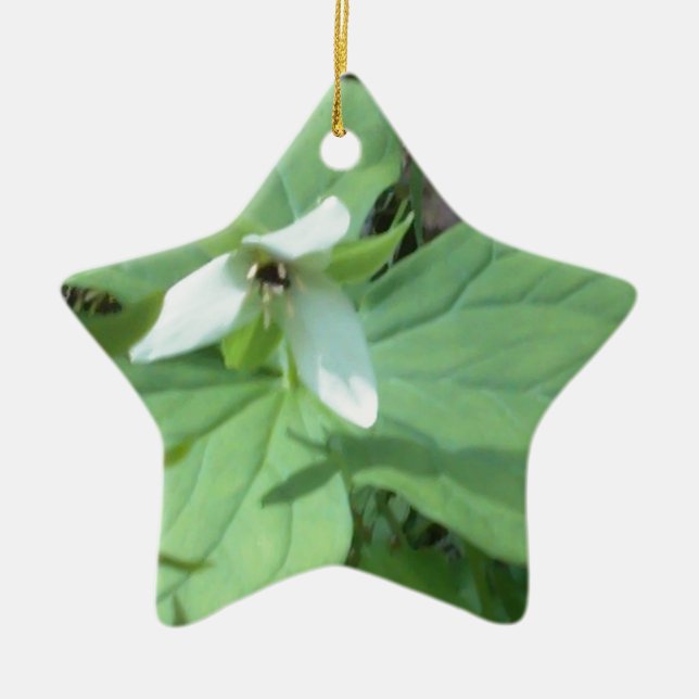 Weißer Trillium mit grüner Farbe Keramikornament (Vorne)