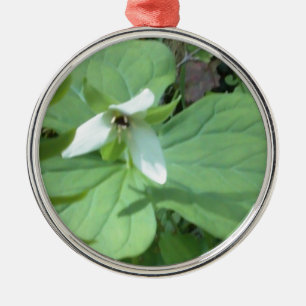 Weißer Trillium mit grüner Farbe Silbernes Ornament