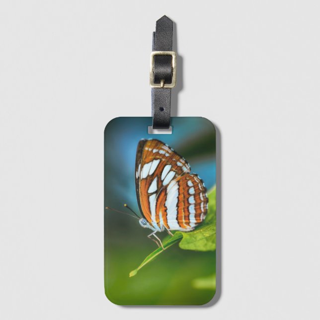 Weißer und orange gestreifter Schmetterling Gepäckanhänger (Vorderseite Vertikal)