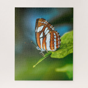 Weißer und orange gestreifter Schmetterling Puzzle