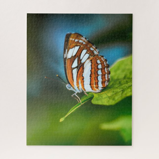 Weißer und orange gestreifter Schmetterling Puzzle (Vertikal)