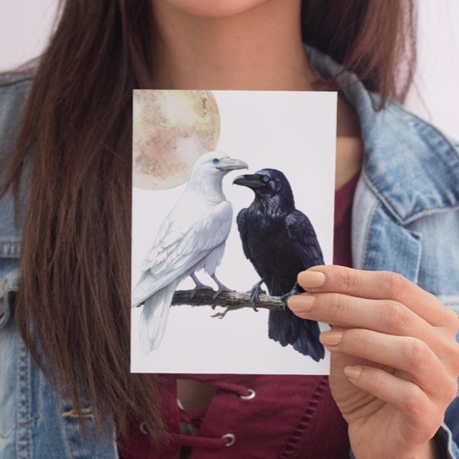 Weißer und schwarzer Rabe Postkarte (Von Creator hochgeladen)