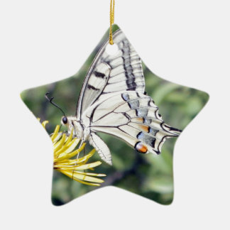Weißer und schwarzer Schmetterling mit roten Fleck Keramikornament