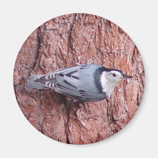 Weißer Vogelmagnet Magnet (Vorne)