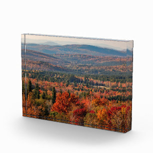 Weißer Wald New Hampshire Fotoblock