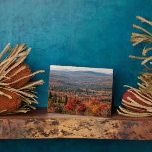 Weißer Wald New Hampshire Fotoplatte