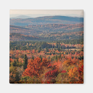 Weißer Wald   New Hampshire Magnet