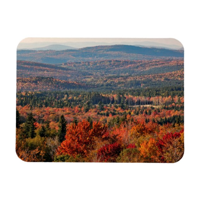 Weißer Wald | New Hampshire Magnet (Horizontal)