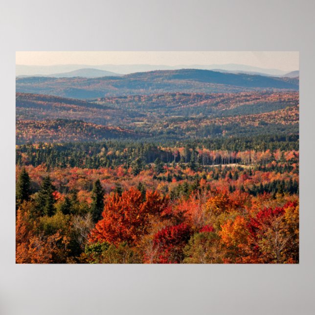 Weißer Wald | New Hampshire Poster (Vorne)