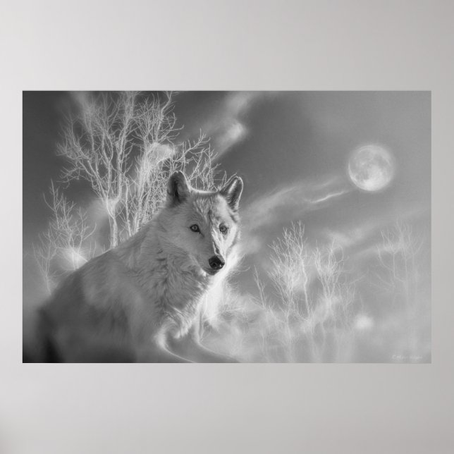 WEISSER WEISSER WALD POSTER (Vorne)