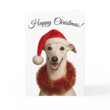 Weißer Whippet in Santa-Mütze Weihnachtsgrußkarte