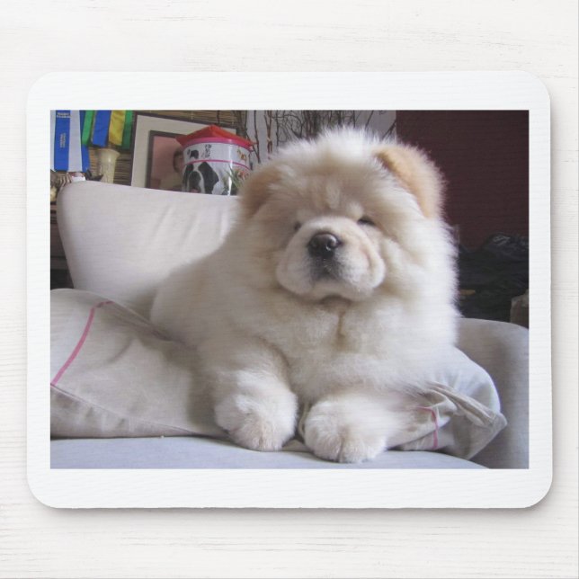 Weißer Windbeutel-Chow-Chow-Welpe Mousepad (Vorne)