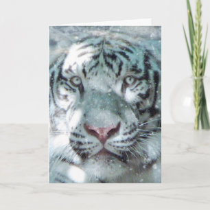 Weißer Wintertiger Feiertagskarte