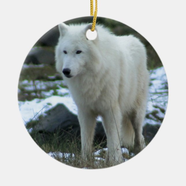 Weißer Wolf im Winter Keramik Ornament (Vorne)
