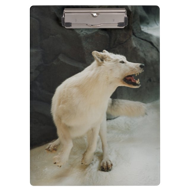Weißer Wolf Klemmbrett (Vorderseite)