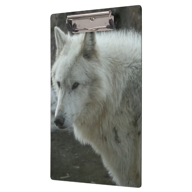 Weißer Wolf Klemmbrett (Links)