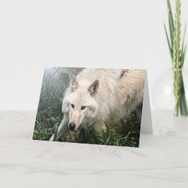 Weißer Wolf-Raum-Gruß-Karten Karte