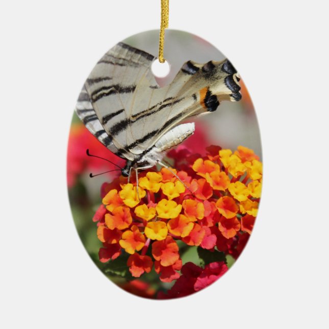 Weißer Zebra-Schmetterling Keramik Ornament (Vorne)