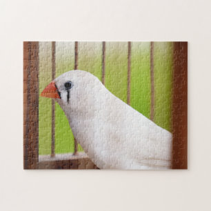 Weißer Zebrafink-Vogel im Käfig Puzzle
