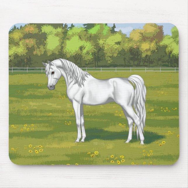 Weißes ägyptisches Arabisches Pferd in Sommerweide Mousepad (Vorne)