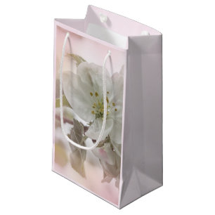 Weißes Apfelblütenfoto Kleine Geschenktüte