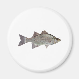 Weißes Bass-Logo Magnet