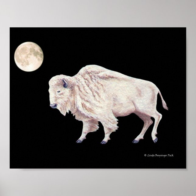Weißes Buffalo Kuh Vollmond Poster (Vorne)