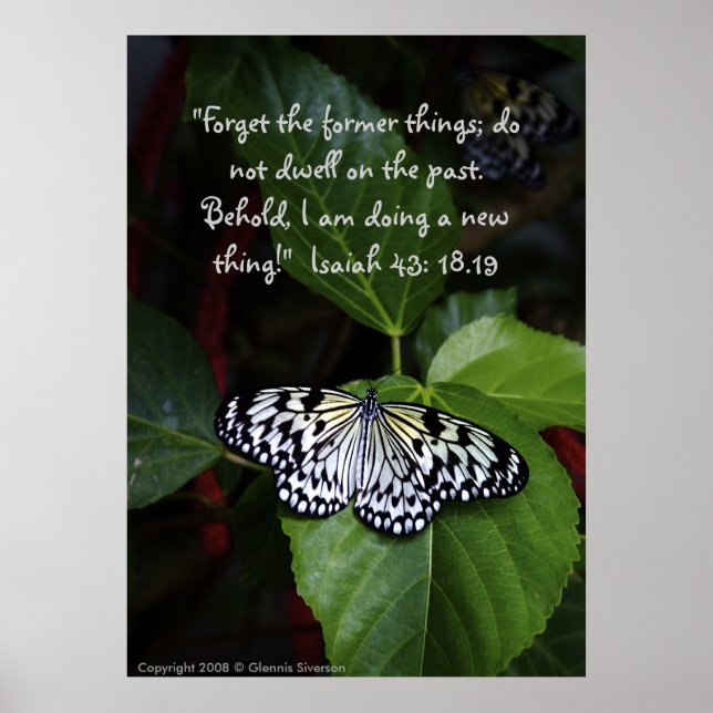 Weißes Butterfly-Poster Poster (Vorne)