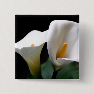 Weißes Calla-Lilien-Blumen-Quadrat-Button Button