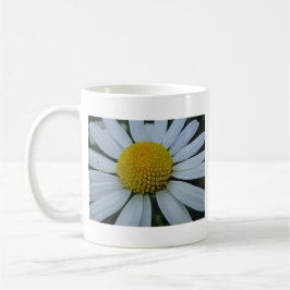 Weißes Chrysanthemum mit gelber Mitte Tasse