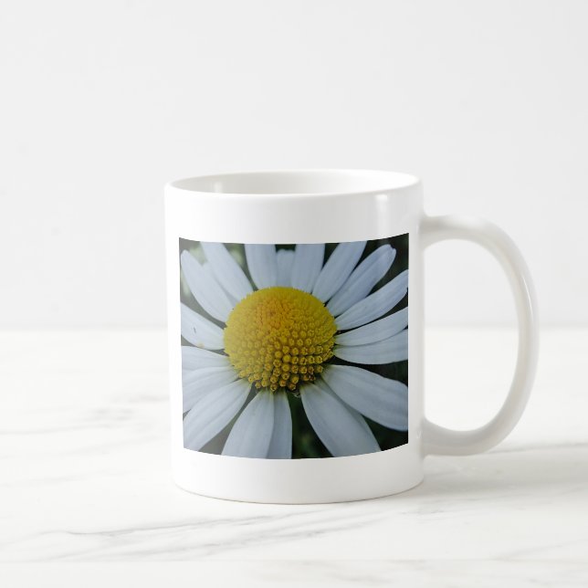 Weißes Chrysanthemum mit gelber Mitte Tasse (Rechts)