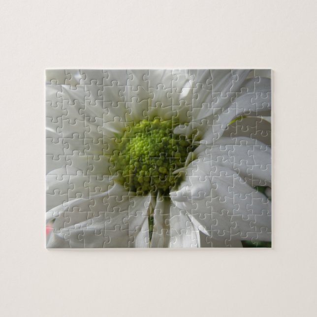 Weißes Chrysanthemum Puzzle (Horizontal)
