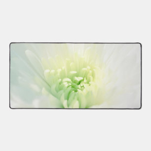 Weißes Chrysanthemum Schönes weißes Mama Fotografi Schreibtischunterlage