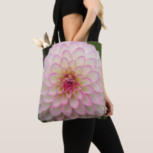 Weißes Dahlia mit rosa Felge Blume