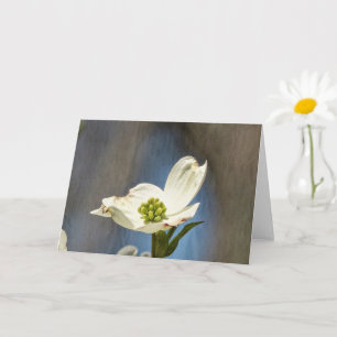 Weißes Dogwood Bloom Karte
