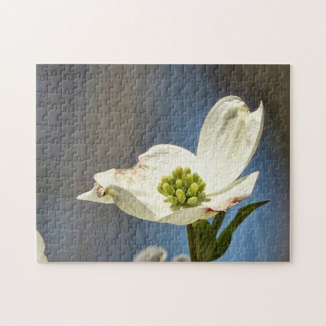 Weißes Dogwood Bloom Puzzle (Horizontal)