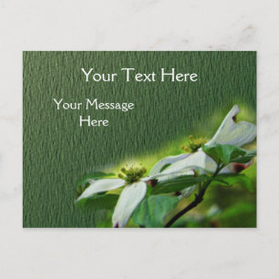 Weißes Dogwood blüht Blume Postkarte