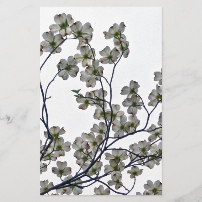 Weißes Dogwood Briefpapier (Vorderseite)