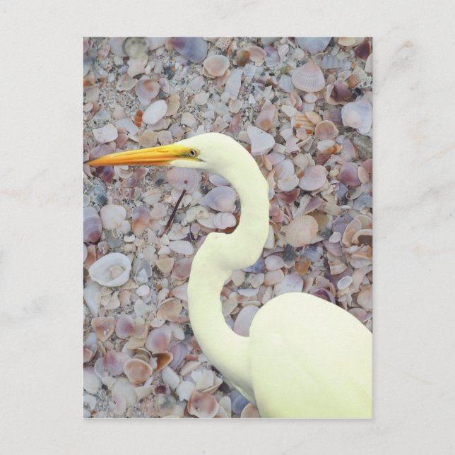 Weißes Ego Postkarte (Vorderseite)