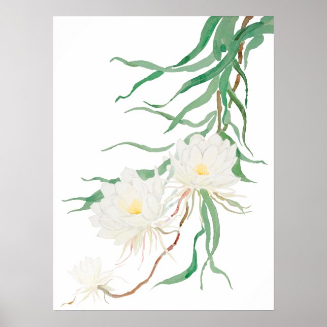 Weißes Epiphyllum Blume Aquarell Poster (Vorne)