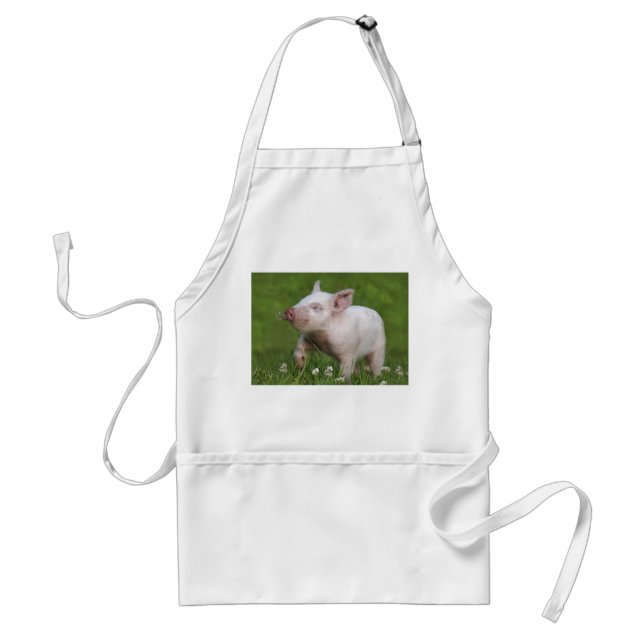 Weißes Ferkel-riechende Blumen Schürze (Vorne)