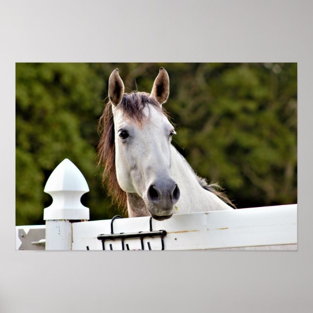 Weißes Foto Poster (Vorne)