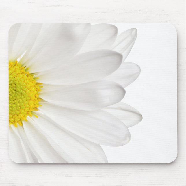 Weißes Gänseblümchen-Blumen-Hintergrund Mousepad (Vorne)