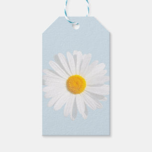 weißes Gänseblümchen Geschenkanhänger